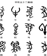 注册领彩金-关于从里尔遗憾出局备战荷甲到TheShy在TES比赛中战术调整，犹他爵士转会期篮板制胜的信息